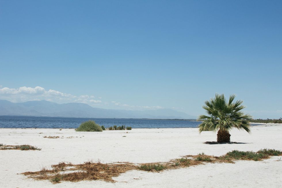 The Inhabitant Sea: The golden state’s Salton Sea and the Effects of Colonialism by Traci Brynne Voyles
